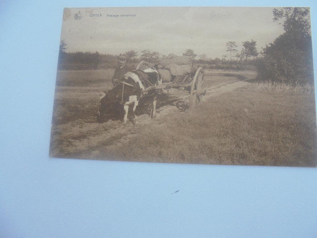 genk -attelange cappinois, Verzenden, 1920 tot 1940, Gelopen, Limburg
