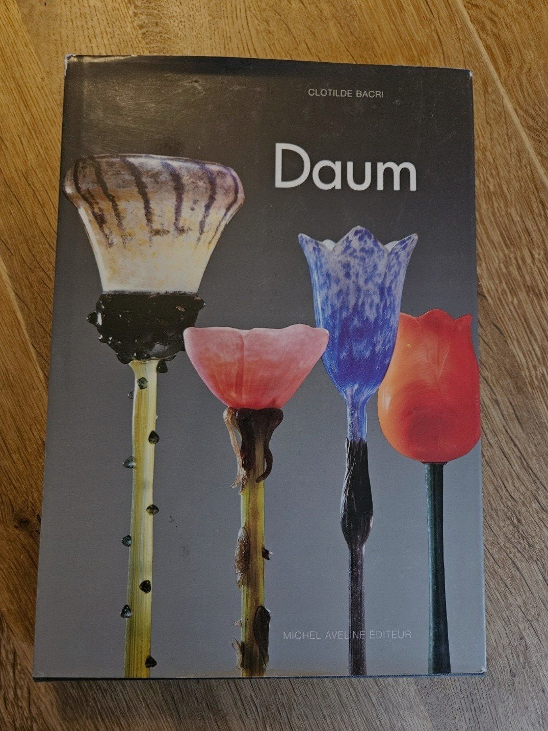 Boek Daum (Franse editie) door Michel Aveline & Clotilde Bac, Antiek en Kunst, Ophalen of Verzenden