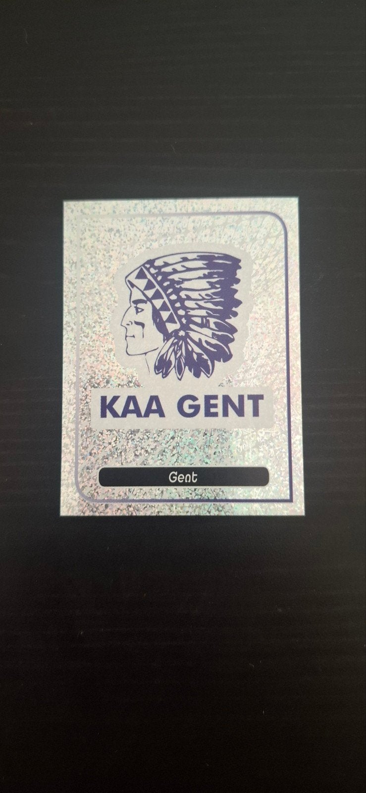 Panini voetbal 2013, Verzamelen, Ophalen of Verzenden