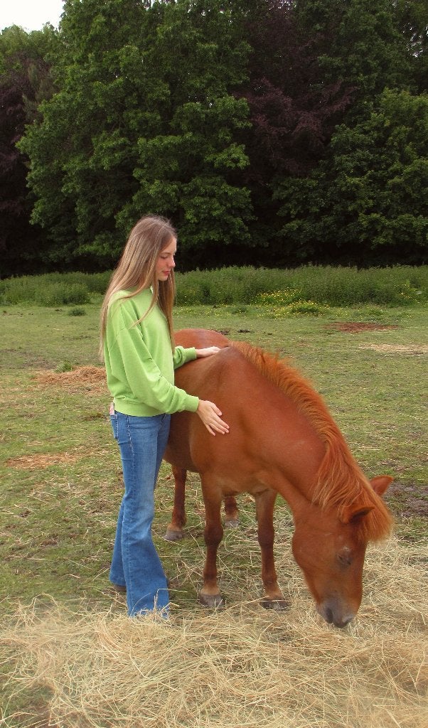 Verzorger/ bijrijder aangeboden, Animaux & Accessoires, Chevaux
