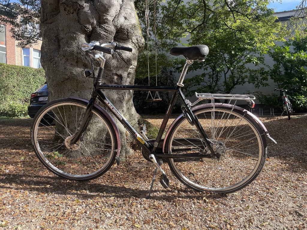 Degelijke, praktische en grote Raleigh stadsfiets, Fietsen en Brommers, Gebruikt, Versnellingen, Trommelrem, Ophalen