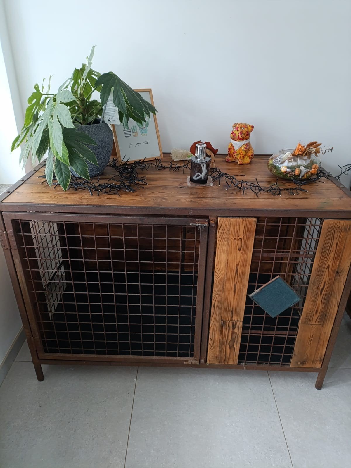cage chien, Enlèvement