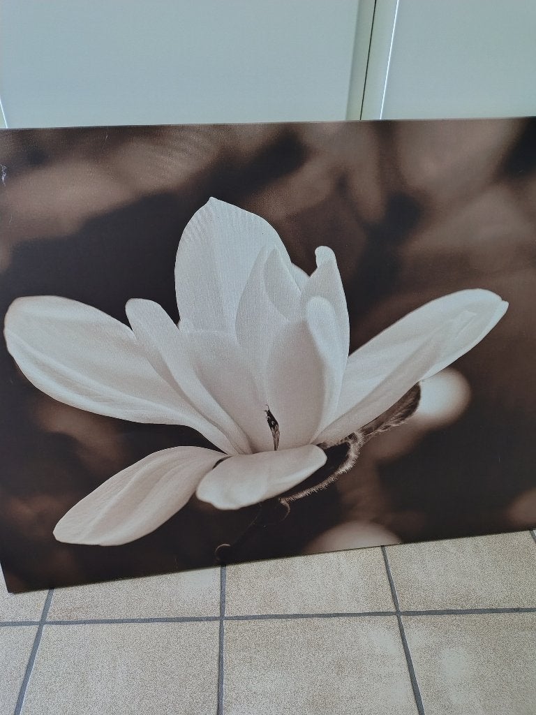 Canvas Ikea, Ophalen, Zo goed als nieuw