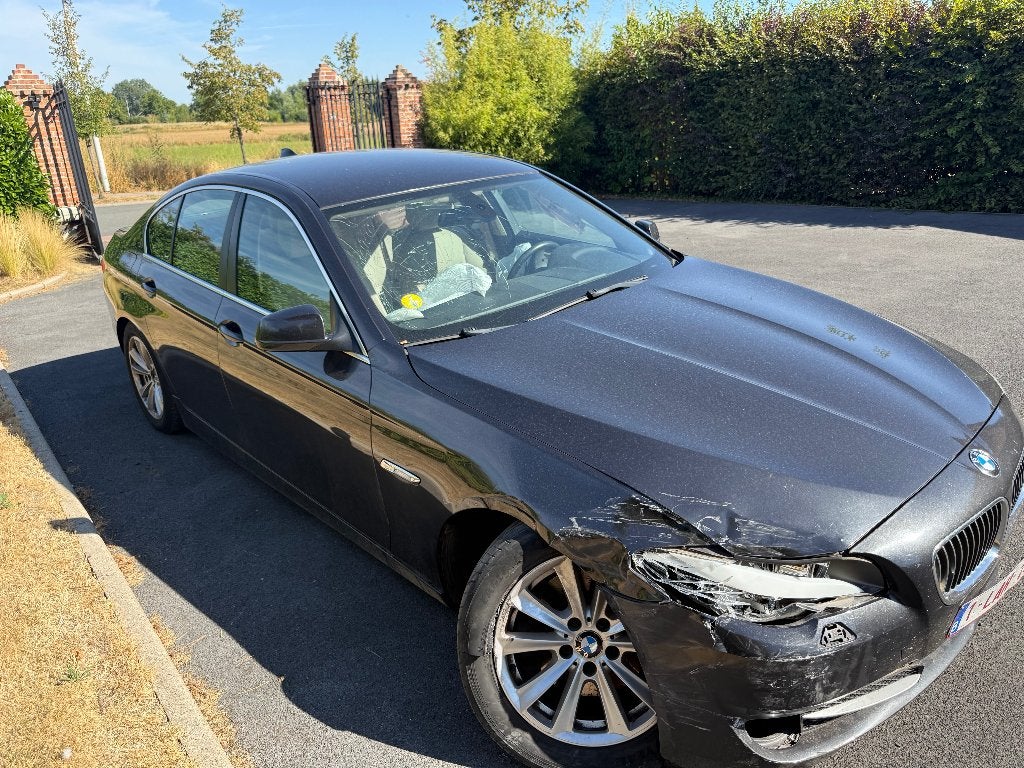 BMW 520 D, Autos, BMW, Cuir, Euro 5, 1700 kg, 120 kW