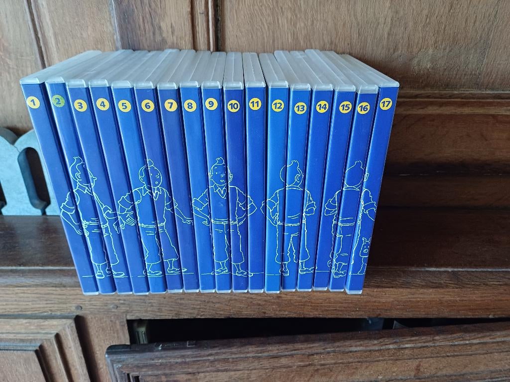 17 dvd tintin + fascicules, Cd's en Dvd's, Dvd's | Tekenfilms en Animatie, Ophalen, Zo goed als nieuw