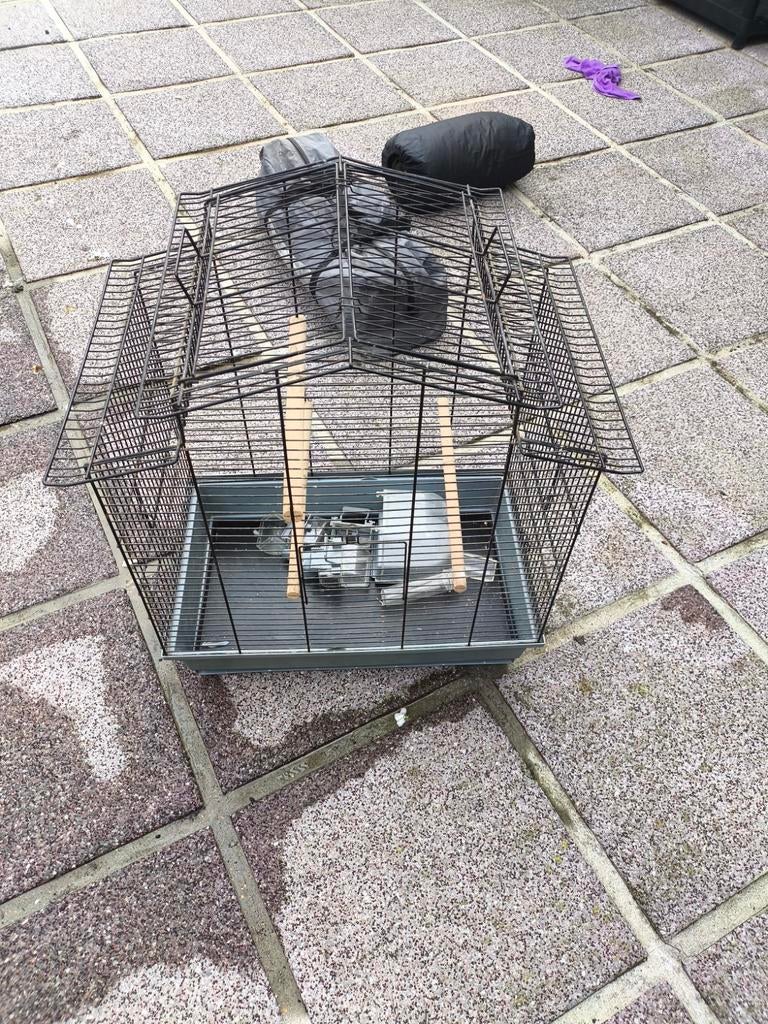 Vogelkooi, Dieren en Toebehoren, Ophalen, Vogelkooi