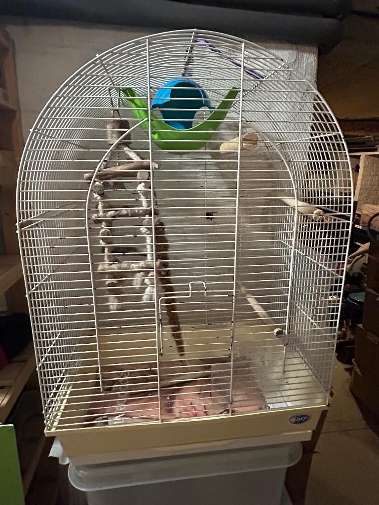 Cage oiseaux, Animaux & Accessoires, Enlèvement, Utilisé, Métal, Cage à oiseaux