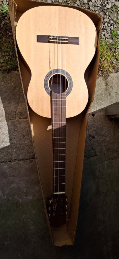 Guitare, Musique & Instruments, Instruments à corde | Guitares | Acoustiques, Enlèvement