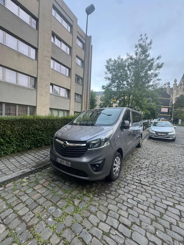 Opel vivaro biturbo, Autos, Argent ou Gris, Achat, Euro 6, Autre carrosserie