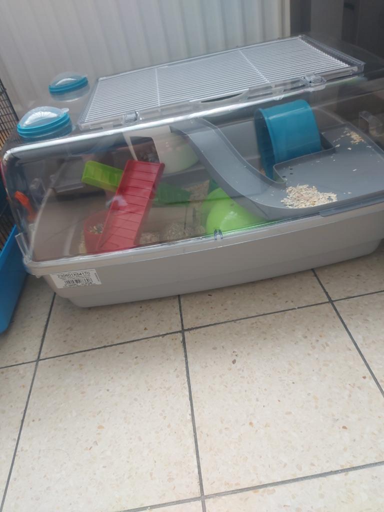 Hamsterkooi 25 euro, Ophalen