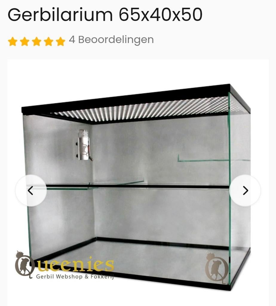 Glazen gerbilkooi met inrichting, Animaux & Accessoires, Rongeurs & Lapins | Cages & Clapiers, Comme neuf, Autres types, Moins de 60 cm