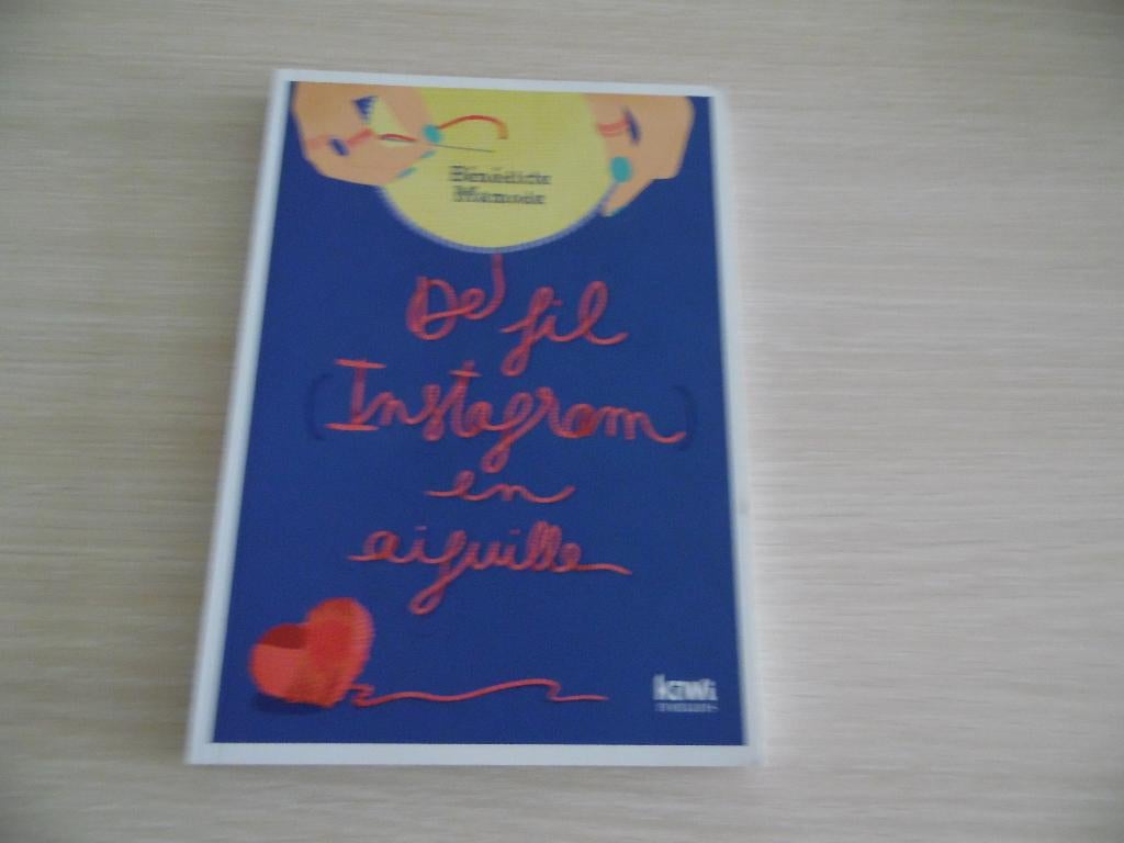 DE FIL INSTAGRAM EN AIGUILLE       BÉNÉDICTE MAMODE, Livres, Romans, Comme neuf, Europe autre, Enlèvement ou Envoi
