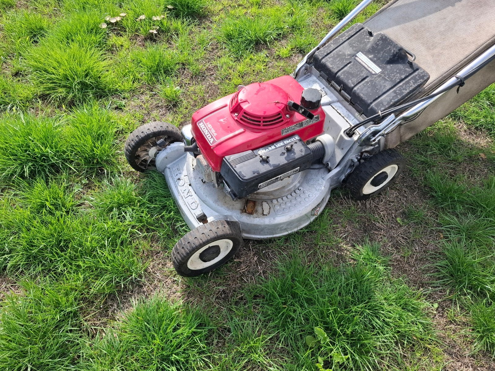 Autoporteur Honda HR194., Honda, Tondeuse rotative, 40 à 49 cm, Enlèvement