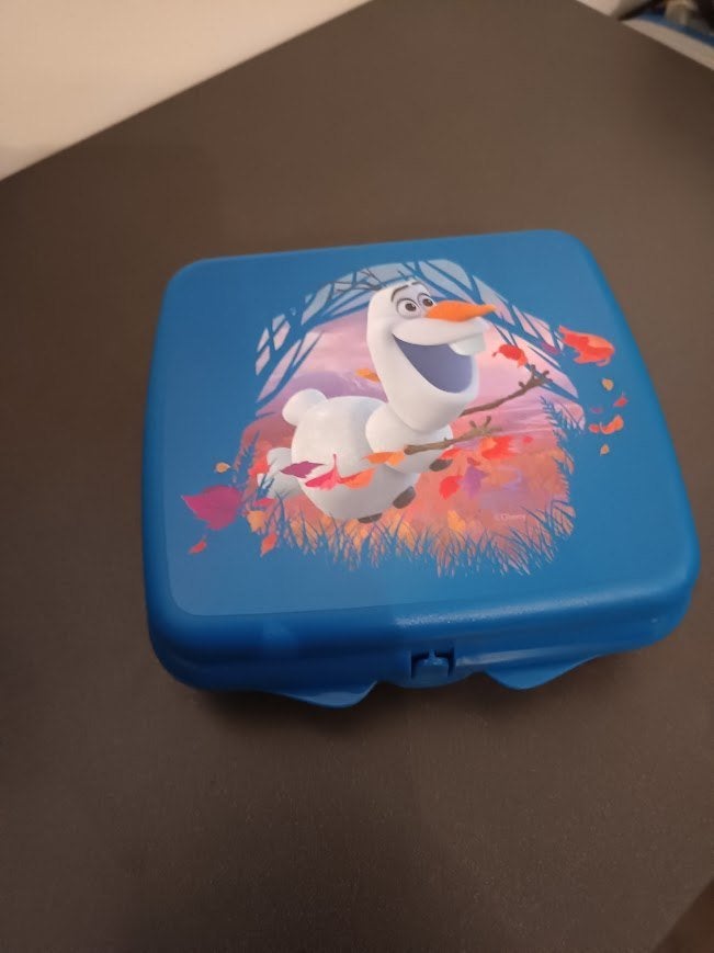 Sandwich doos Frozen, Kinderen en Baby's, Ophalen of Verzenden, Nieuw