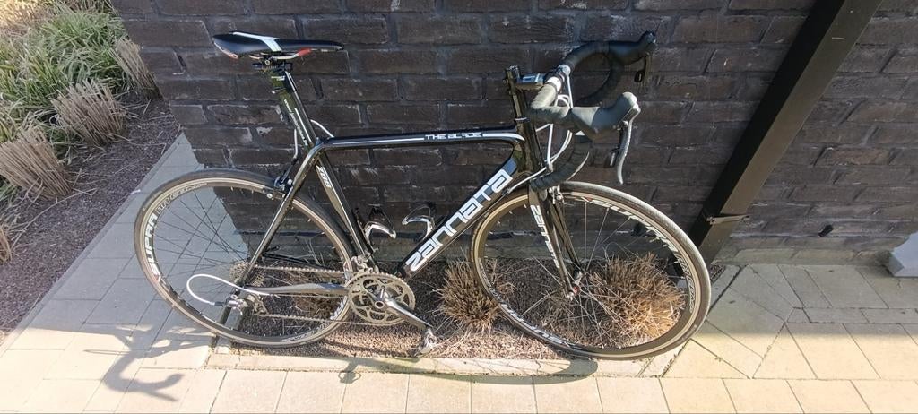 Carbon zannata Z88, Fietsen en Brommers, Fietsen | Racefietsen, Ophalen, Gebruikt, Carbon, Heren