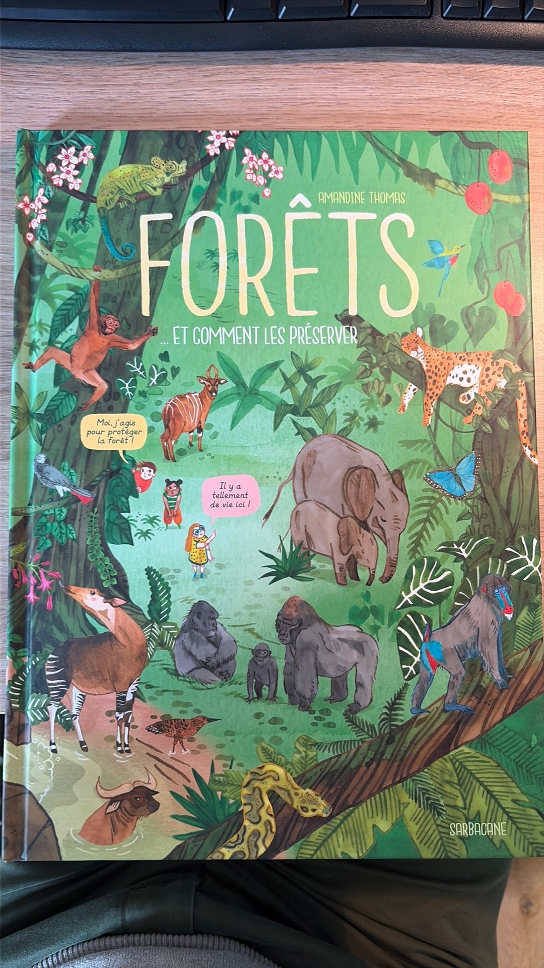 Forêt et comment les préserver, Livres, Livres d'images & Albums d'images, Enlèvement, Comme neuf