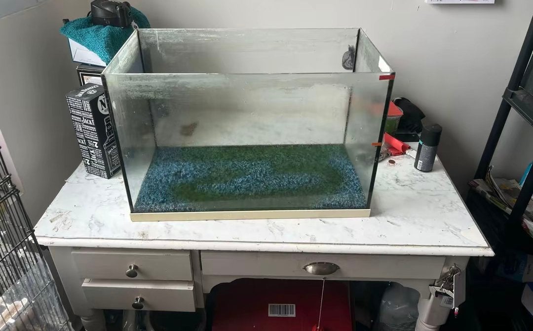 Aquarium 70l, Animaux & Accessoires, Enlèvement, Comme neuf