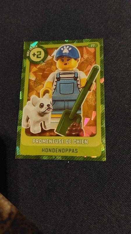 Lego / Verzamelkaart / Hondenoppas, Ophalen of Verzenden, Zo goed als nieuw, Overige typen, Lego