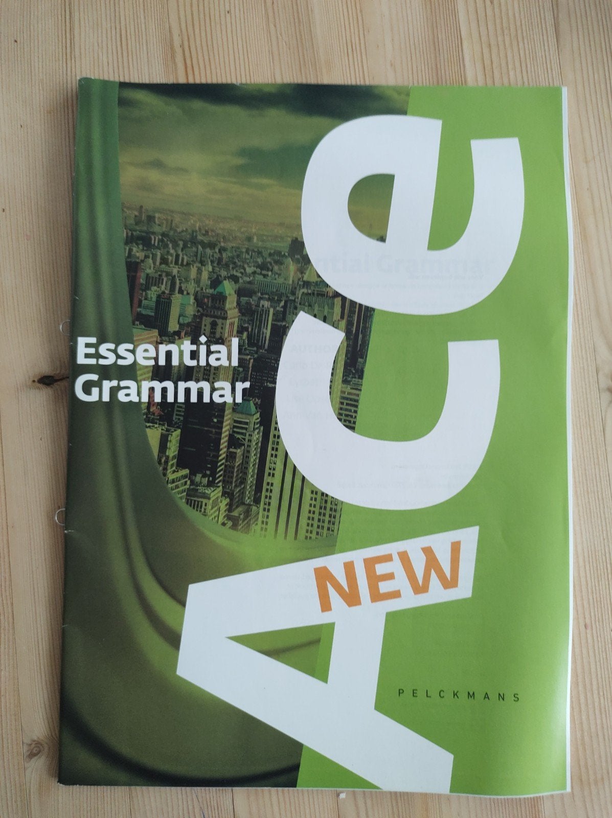 Nieuwe Ace Essential Grammar, Ophalen of Verzenden, Nederlands