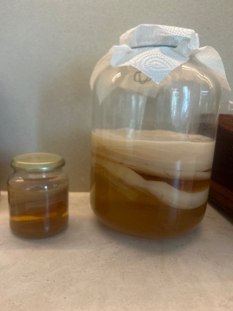 Scoby voor kombucha, Diversen, Ophalen