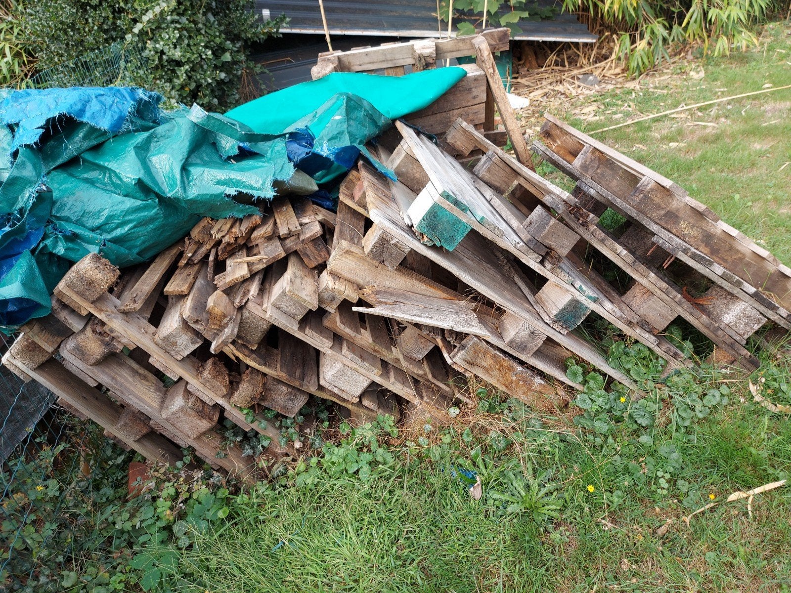 gratis brandhout. alles mee te nemen., Jardin & Terrasse, Bois de chauffage, 3 à 6 m³, Enlèvement, Autres essences de bois