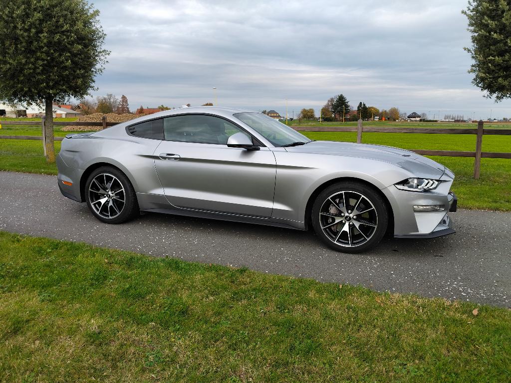Ford Mustang 2.3 Ecoboost fifty-five edition, Autos, Ford, Particulier, Mustang, ABS, Caméra de recul, Airbags, Air conditionné