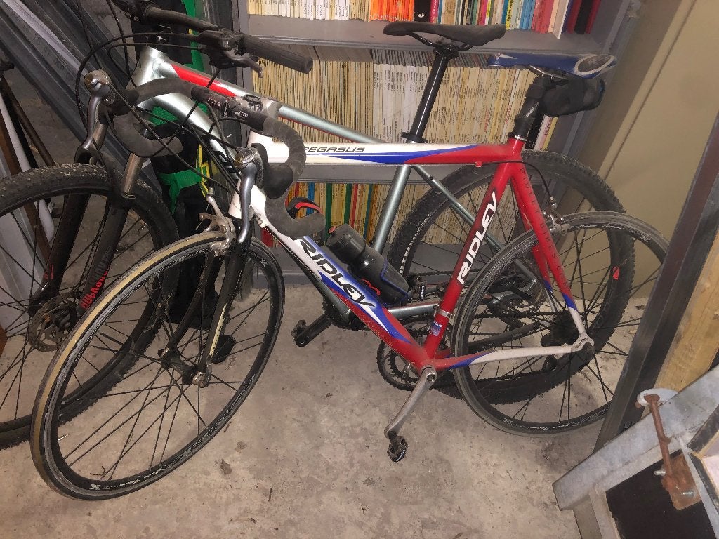 Vélo de route Ridley Pegasus, Vélos & Vélomoteurs, Vélos | Vélos de course, Autres marques, Frein sur jante, 57 à 61 cm, Enlèvement