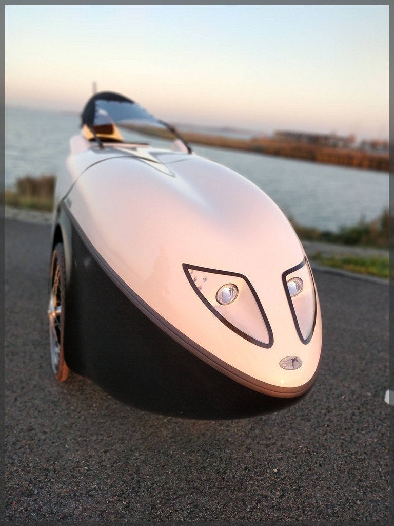 Flevobike E-Orca, Ophalen, Gebruikt, Bovenstuur, Cabine