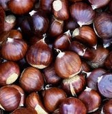 GRATIS heel veel tamme kastanjes, Ophalen, Nieuw