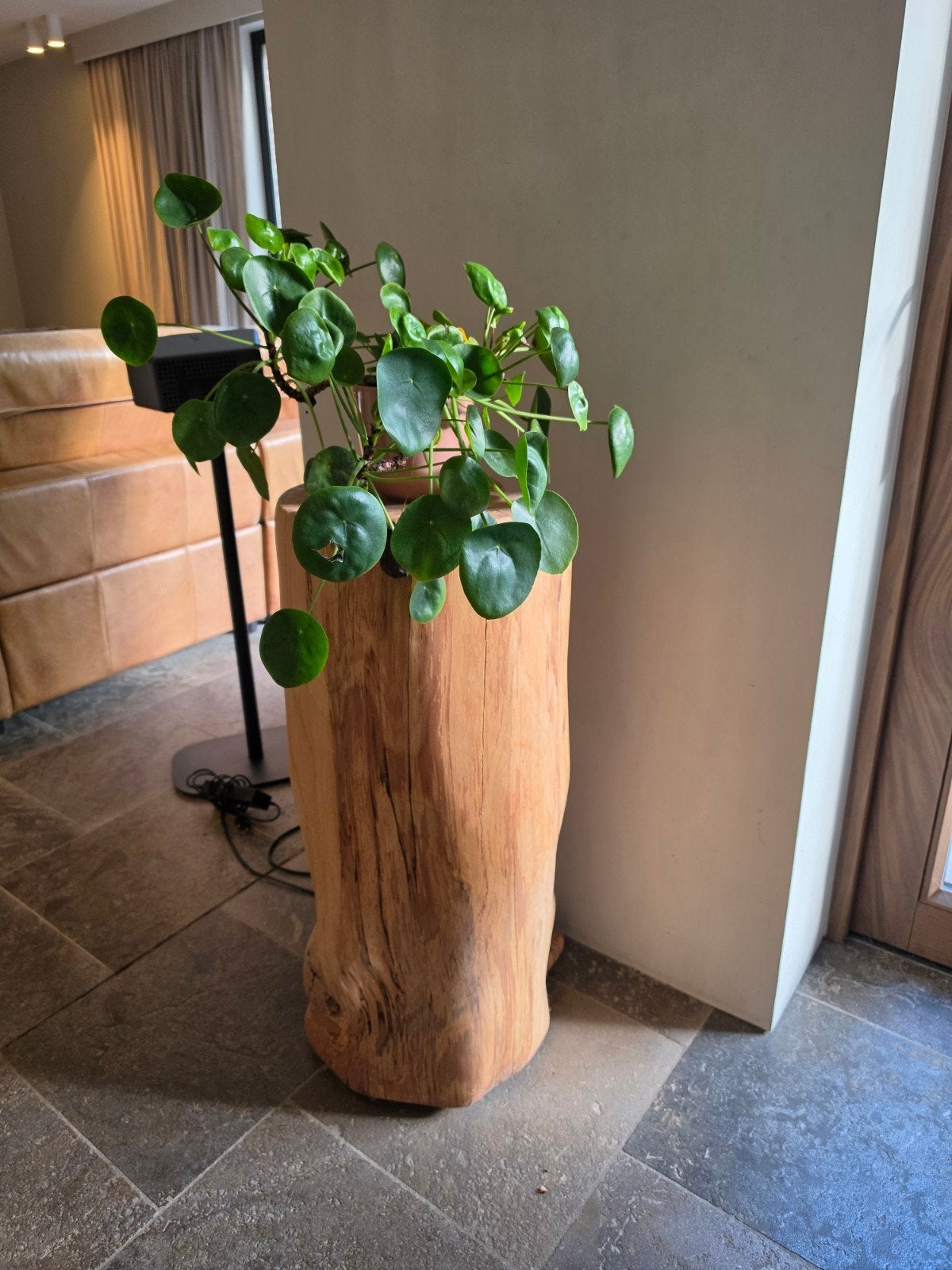 Boomstam houten pilaar, Enlèvement