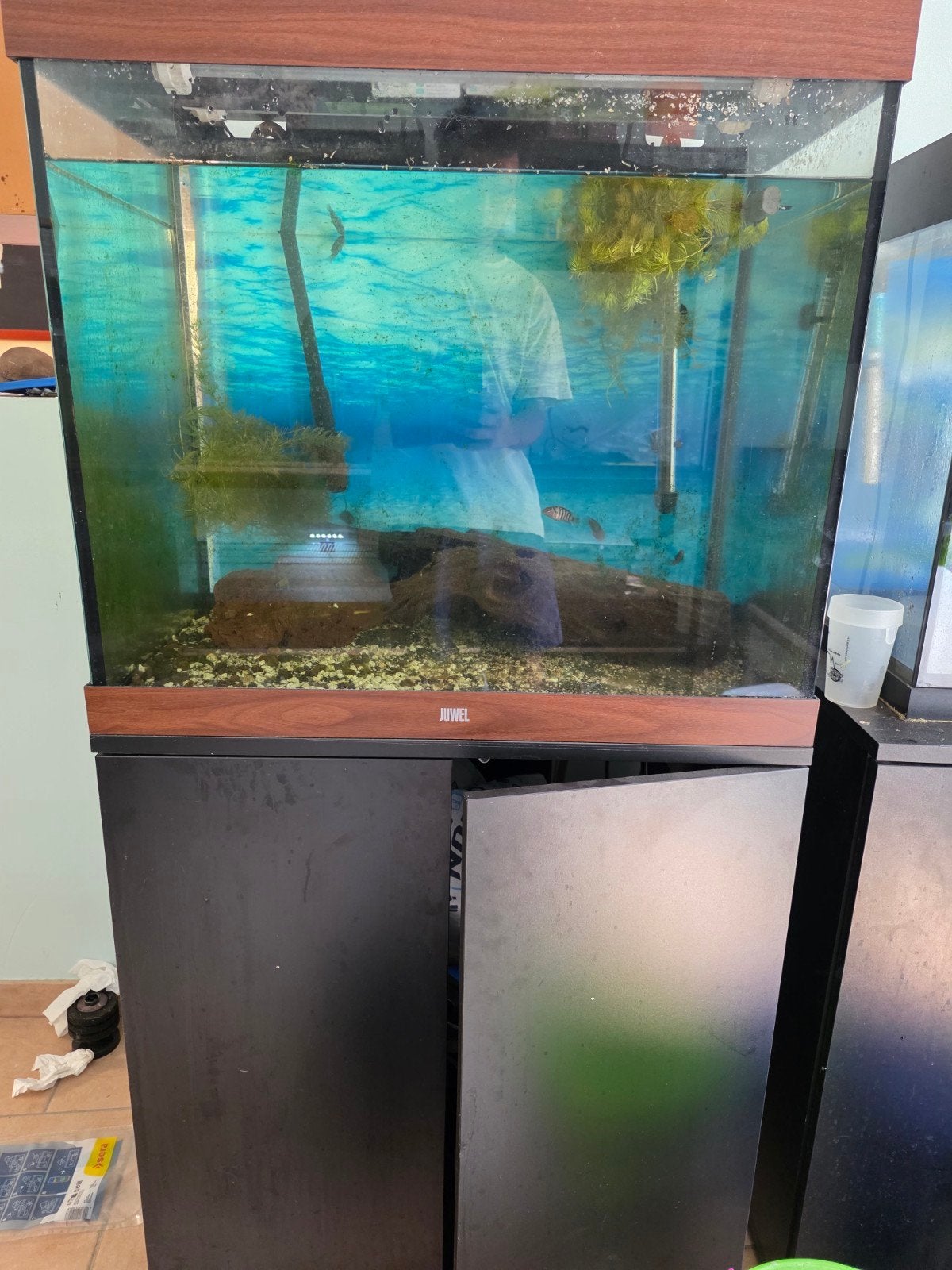 Aquarium de 240L tout compris
Meuble
Pompe externe
Chauffag, Pompe