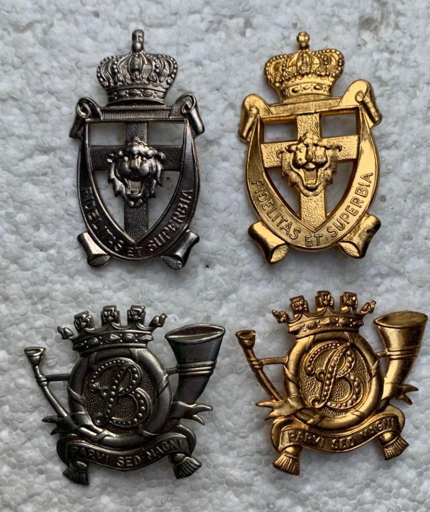 Kenteken, Bat Bevrijding + Carabiniers mutskentk, Zilvr+Goud, Collections, Enlèvement ou Envoi, Armée de terre, Emblème ou Badge