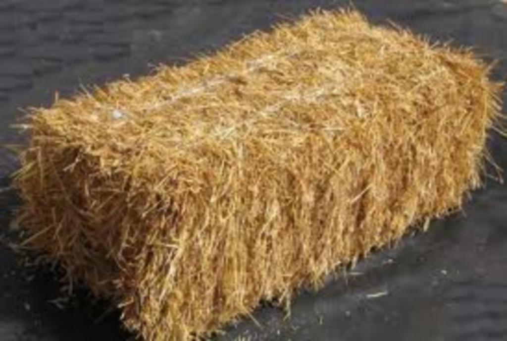 petits ballots de pailles de froment, Articles professionnels, Agriculture | Aliments pour bétail, Enlèvement