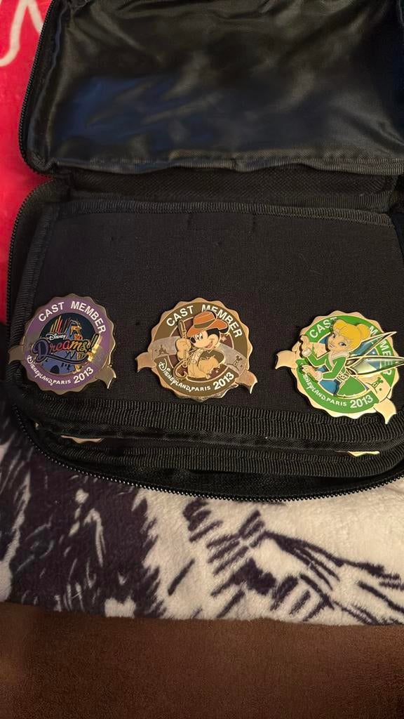 Pins Disney cast member, Collections, Enlèvement ou Envoi, Comme neuf, Autres sujets/thèmes, Insigne ou Pin's