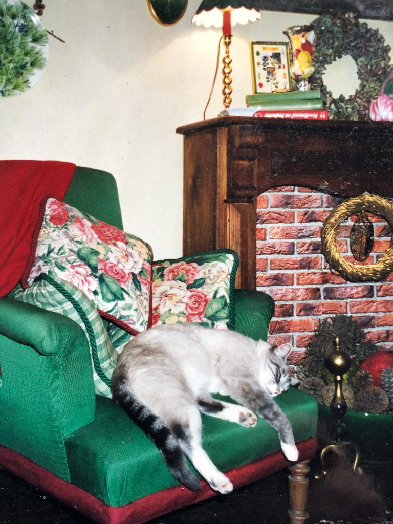 behangpapier imitatie bakstenen, Ophalen of Verzenden, Bruin