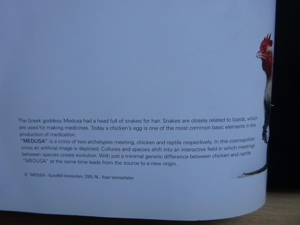 Koen Vanmechelen, The Walking Egg Gazette 2006, Ophalen of Verzenden, Zo goed als nieuw, Schilder- en Tekenkunst