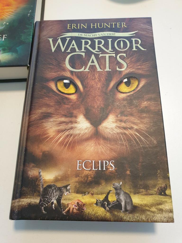 Erin Hunter - serie 3 III Boek 4 : Eclips hardcover, Enlèvement ou Envoi, Comme neuf, Erin Hunter