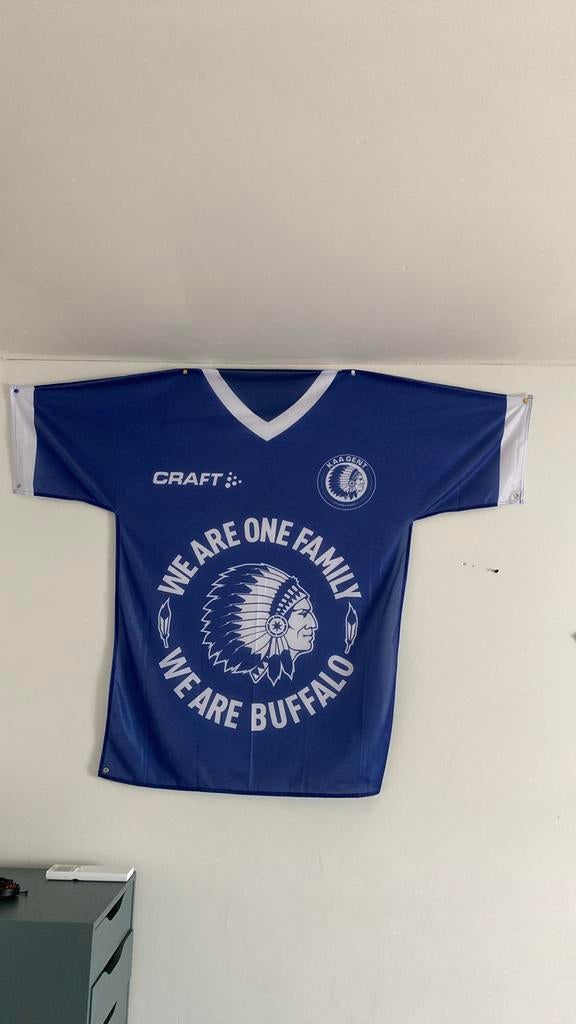 heel grood t-shirt voor op te hangen aa gent, Ophalen, Zo goed als nieuw, Shirt