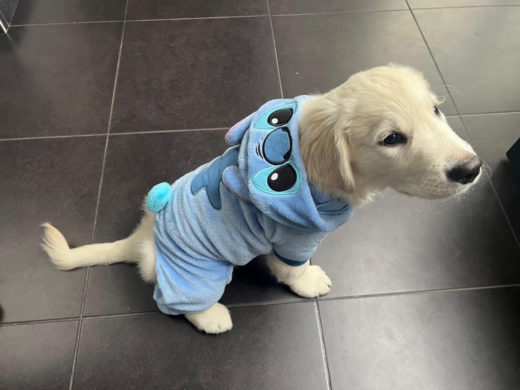 Sac à dos pour chien Stitch, Animaux & Accessoires, Vêtements pour chiens, Enlèvement ou Envoi, Comme neuf, Costume pour chien