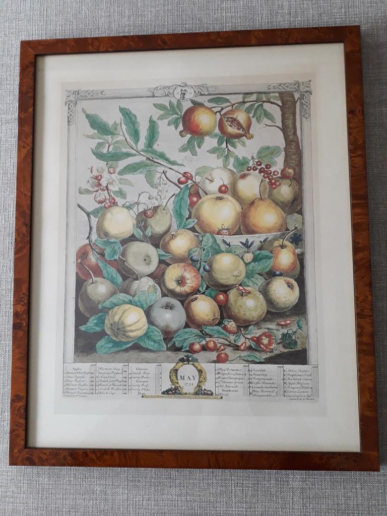 Stilleven van verschillende fruitsoorten, Ophalen