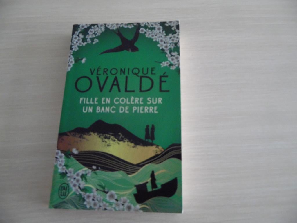 FILLE EN COLÈRE SUR UN BANC DE PIERRE VÉRONIQUE OVALDÉ, Enlèvement ou Envoi, Comme neuf, Europe autre, Véronique Ovaldé