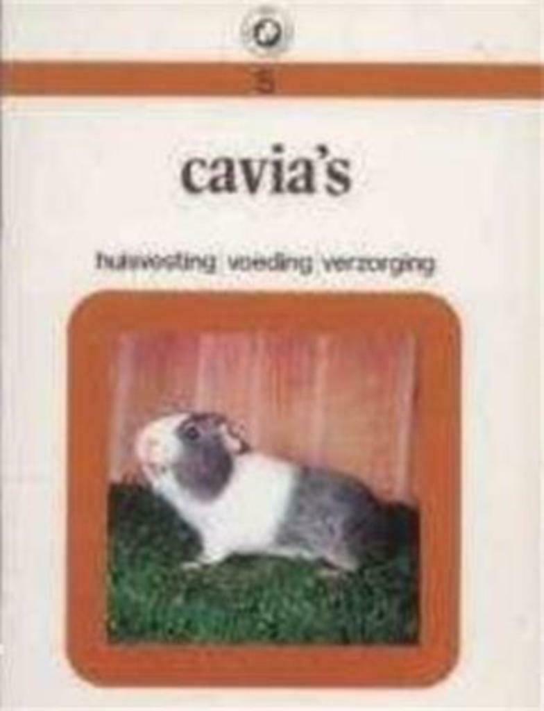 Cavia's, nr. 5, Ophalen of Verzenden, Gelezen, Konijnen of Knaagdieren