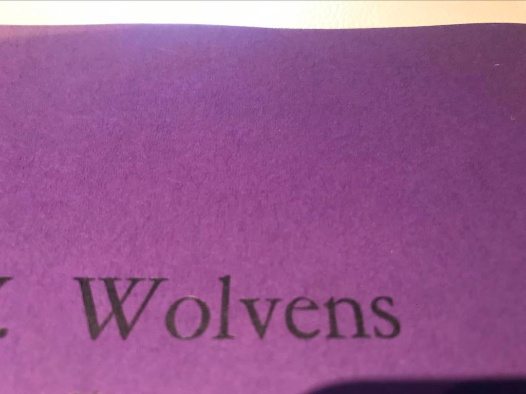 Henri Victor Wolvens schilderijen 35pag, Ophalen of Verzenden, Zo goed als nieuw, Schilder- en Tekenkunst