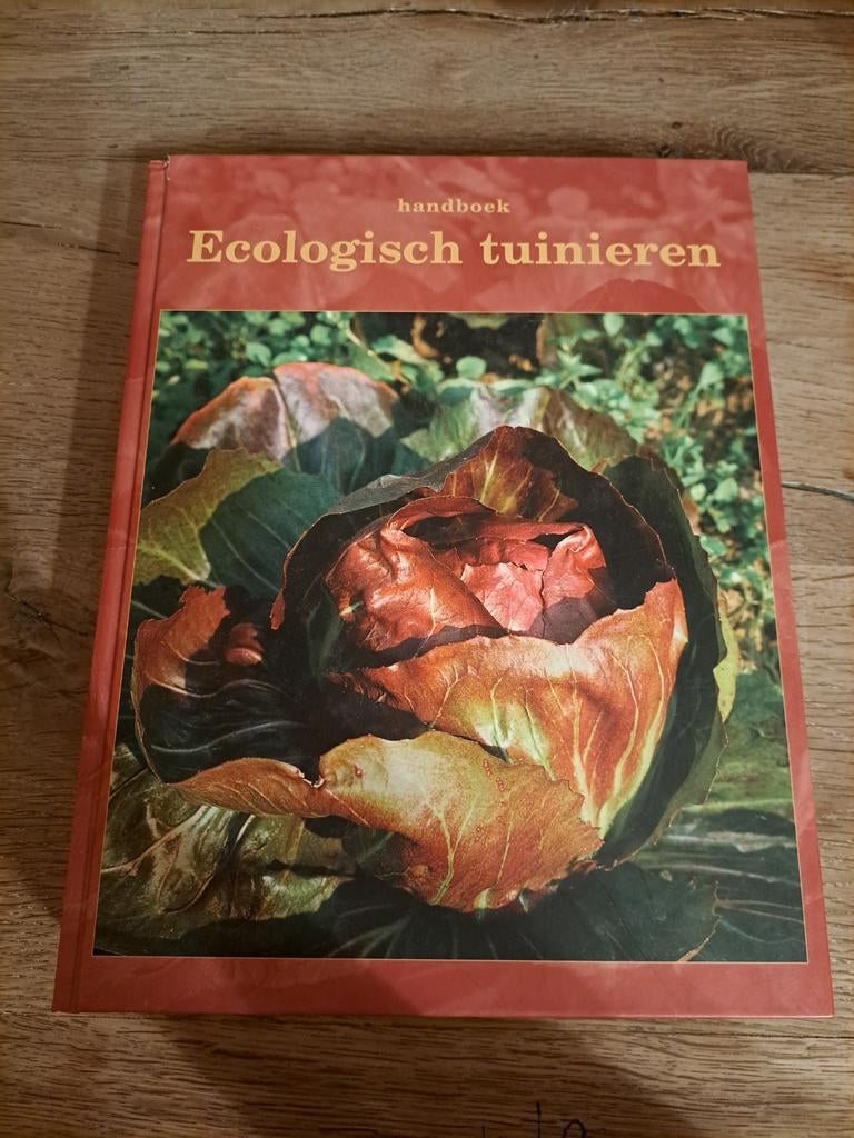 H. van Boxem - De moestuin, Enlèvement ou Envoi, H. van Boxem; G. Buysse