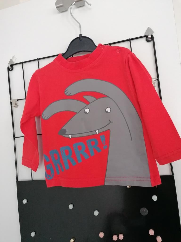 Longsleeve voor 12 maanden, Kinderen en Baby's, Babykleding | Maat 80, Zeeman, Gebruikt, Ophalen of Verzenden, Jongetje