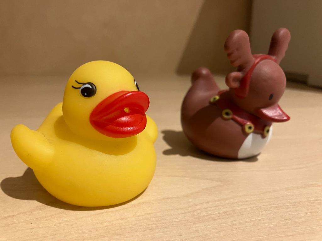 Badeendjes, Ophalen of Verzenden