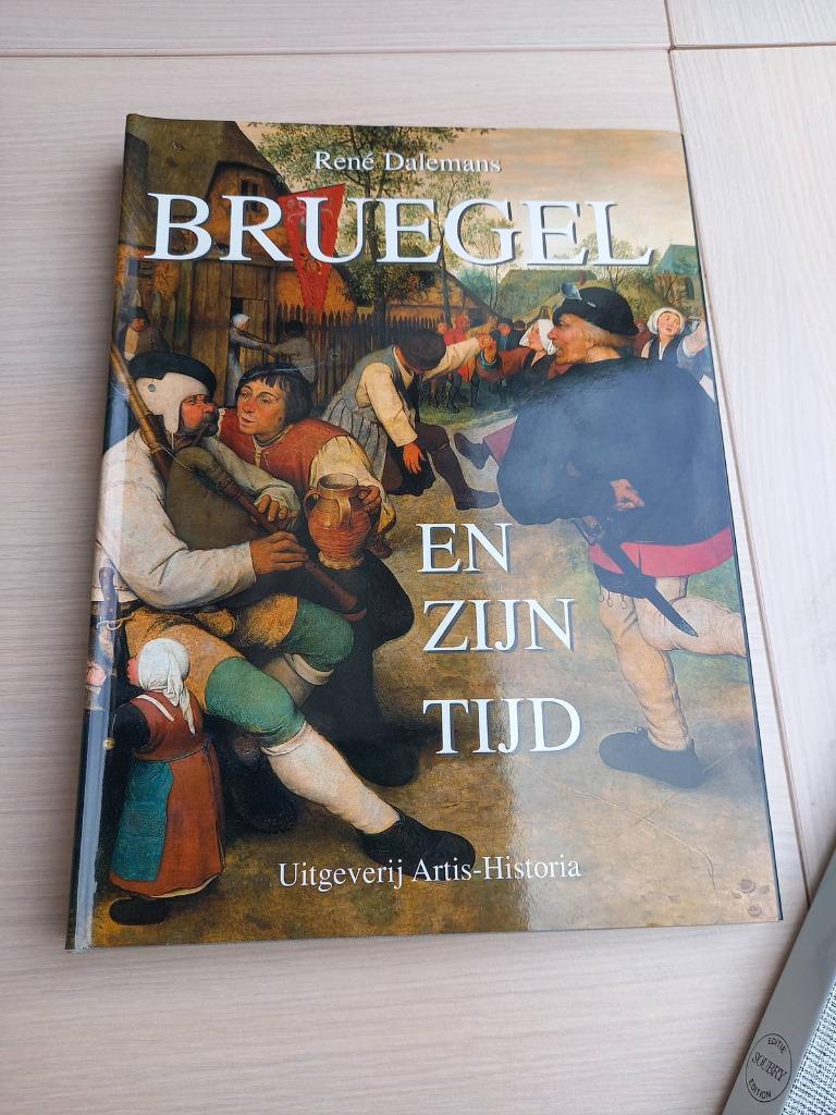 Brueghel en zijn tijd: artis boek, Ophalen, Zo goed als nieuw