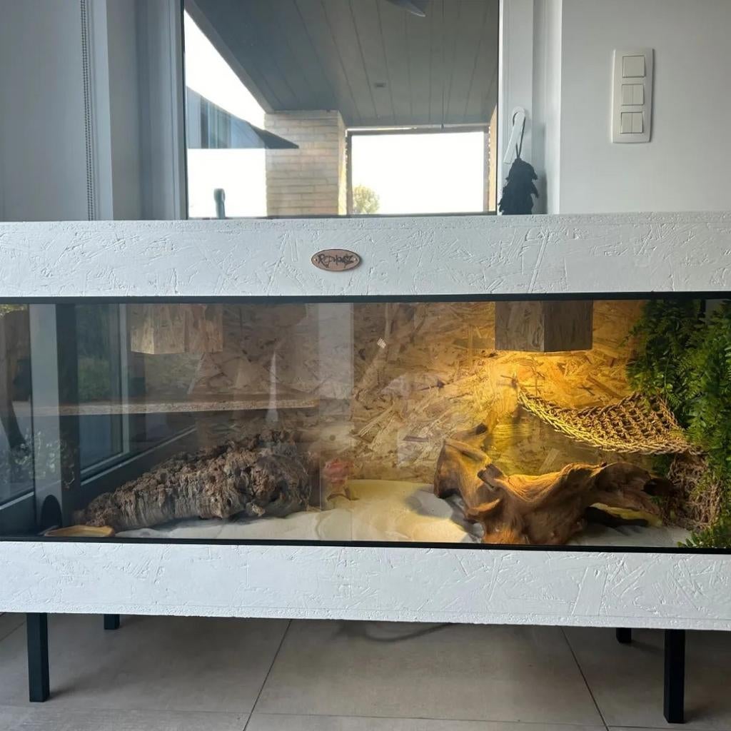 Osb3 terrarium RepHouSZ. Ook maatwerk, Enlèvement, Neuf, Terrarium ou Paludarium