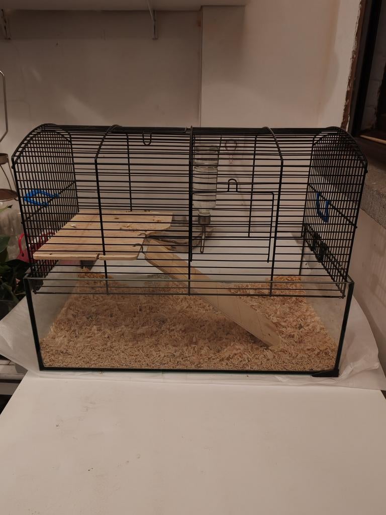 Knaagdierkooi Aqualand 52-29-40 cm – met accessoires, Enlèvement, Cage, Souris