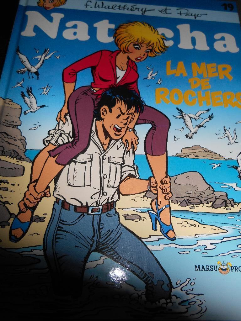 Natacha 19 eo, Livres, BD, Enlèvement ou Envoi